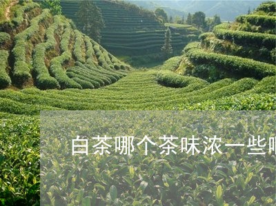 白茶哪个茶味浓一些啊/2023100540683