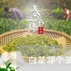 白茶哪个茶好一点儿/2023072212838