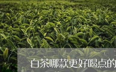 白茶哪款更好喝点的茶/2023100504450