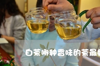 白茶哪种香味的茶最好/2023100548359