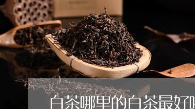 白茶哪里的白茶最好喝/2023100511735