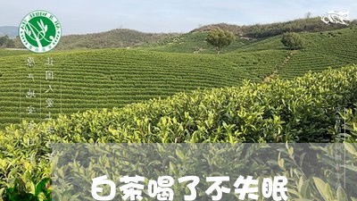 白茶喝了不失眠/2023060438159