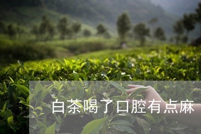 白茶喝了口腔有点麻/2023072244068