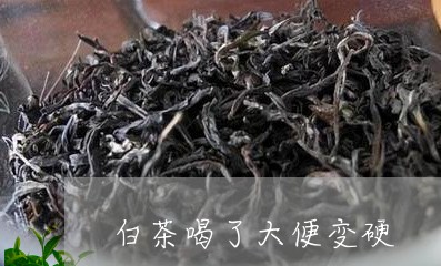 白茶喝了大便变硬/2023080117292