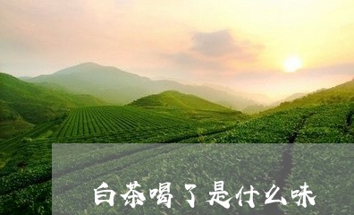 白茶喝了是什么味/2023080151602