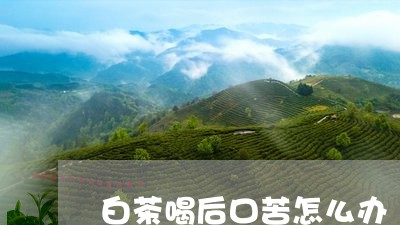 白茶喝后口苦怎么办/2023072325937