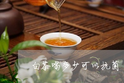 白茶喝多少可以抗菌/2023072308715