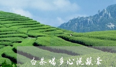 白茶喝多心慌头晕/2023080114936