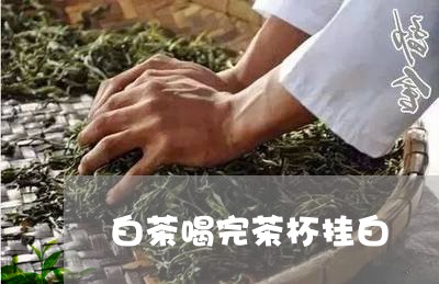 白茶喝完茶杯挂白/2023080179585