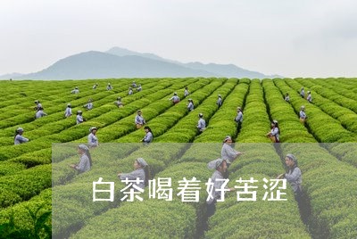 白茶喝着好苦涩/2023060440848