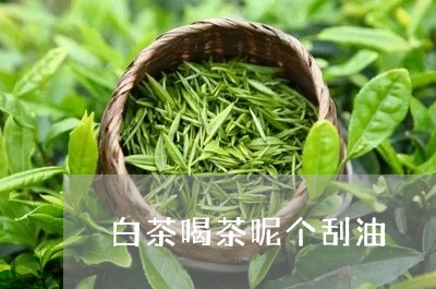 白茶喝茶呢个刮油/2023080151403