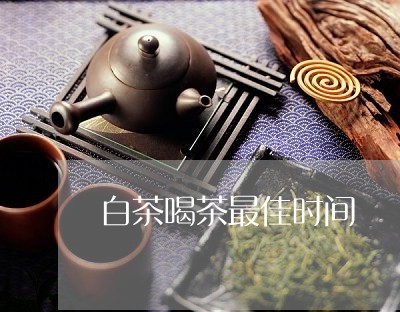 白茶喝茶最佳时间/2023080174037