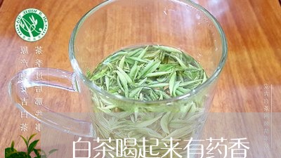 白茶喝起来有药香/2023080273808