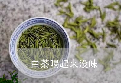 白茶喝起来没味/2023060471475