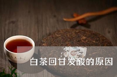 白茶回甘发酸的原因/2023072266149