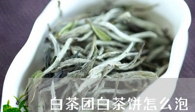 白茶团白茶饼怎么泡/2023072206360