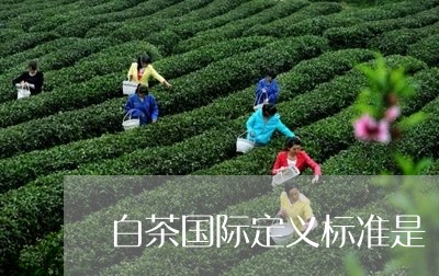 白茶国际定义标准是/2023072204715