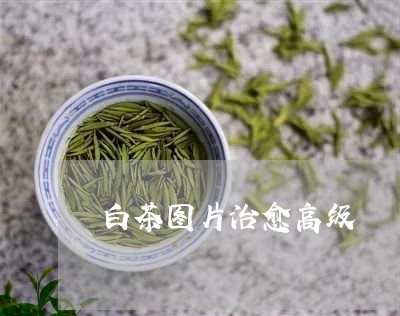 白茶图片治愈高级/2023080294179