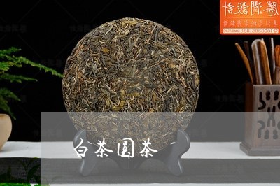 白茶圆茶/2023042597371