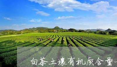 白茶土壤有机质含量一般为多少/2023111487258