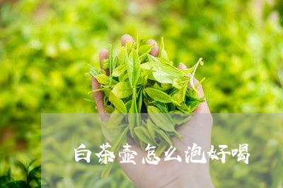 白茶壶怎么泡好喝/2023080264936