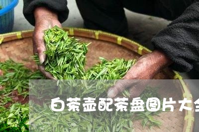 白茶壶配茶盘图片大全欣赏/2023110687940