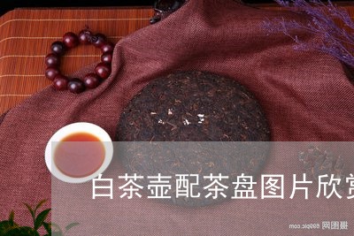 白茶壶配茶盘图片欣赏大全/2023110603036