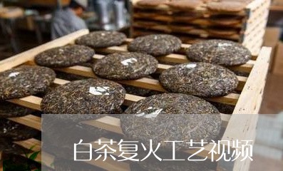 白茶复火工艺视频/2023080215826