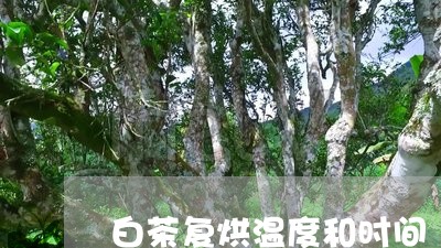 白茶复烘温度和时间/2023072386260