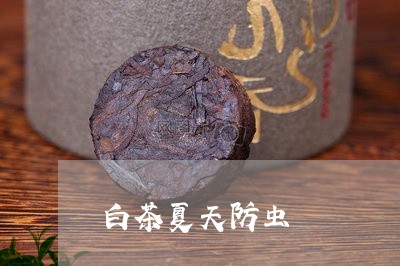 白茶夏天防虫/2023051913826