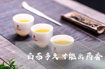 白茶多久才能出药香/2023072351715