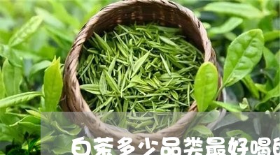 白茶多少品类最好喝的品牌/2023111679280