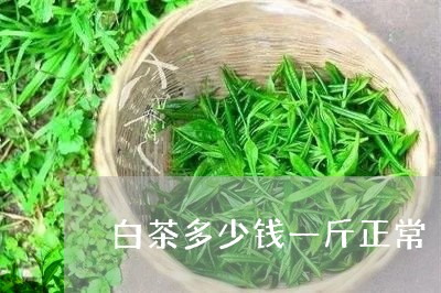 白茶多少钱一斤正常/2023072370716