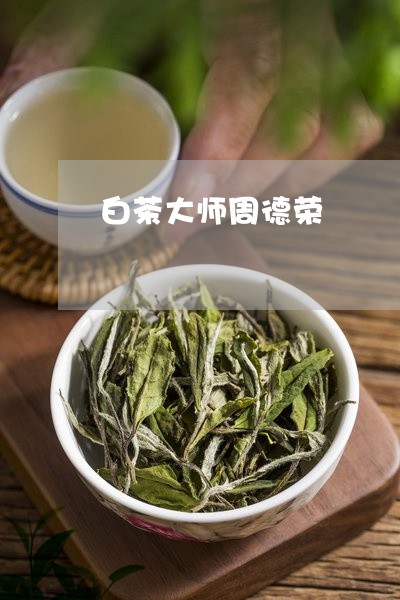 白茶大师周德荣/2023060569694