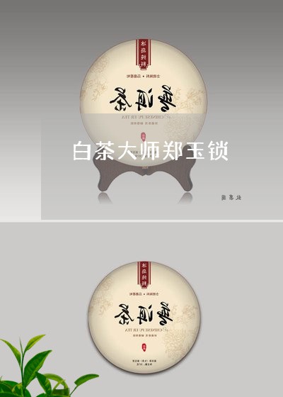 白茶大师郑玉锁/2023060581606