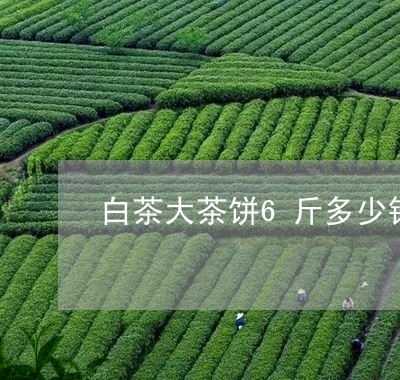 白茶大茶饼6斤多少钱一包/2023111549470