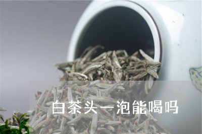 白茶头一泡能喝吗/2023080261695