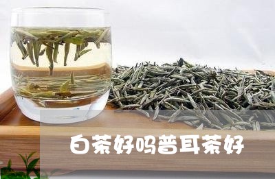 白茶好吗普耳茶好/2023080244935