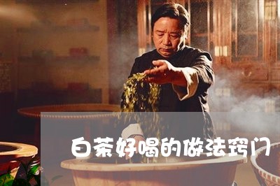 白茶好喝的做法窍门/2023072373825