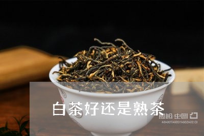 白茶好还是熟茶/2023060406350