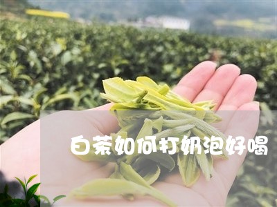 白茶如何打奶泡好喝/2023072328383