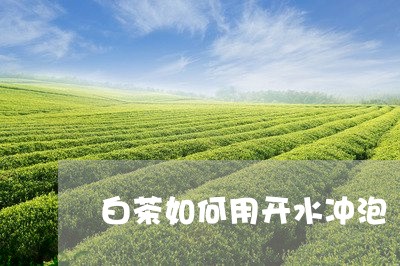 白茶如何用开水冲泡/2023072310283