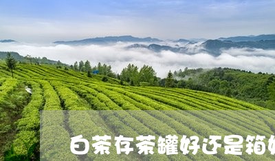 白茶存茶罐好还是箱好/2023100585946