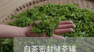 白茶密封储茶罐/2023060424825