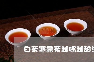 白茶寒露茶越喝越甜润/2023100541848