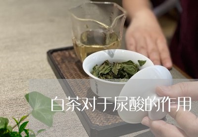 白茶对于尿酸的作用/2023072381927