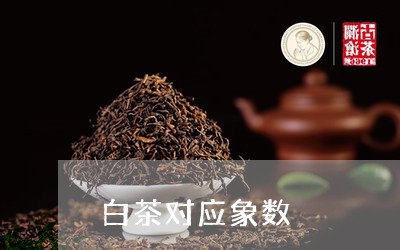 白茶对应象数/2023051930693