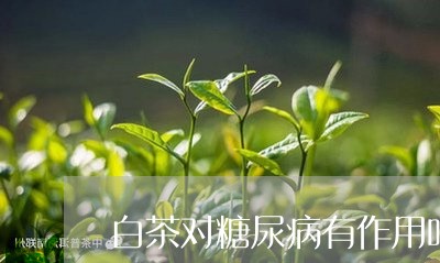 白茶对糖尿病有作用吗/2023100541846