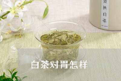 白茶对胃怎样/2023051958271