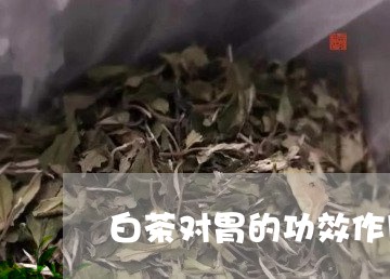 白茶对胃的功效作用/2023072383049